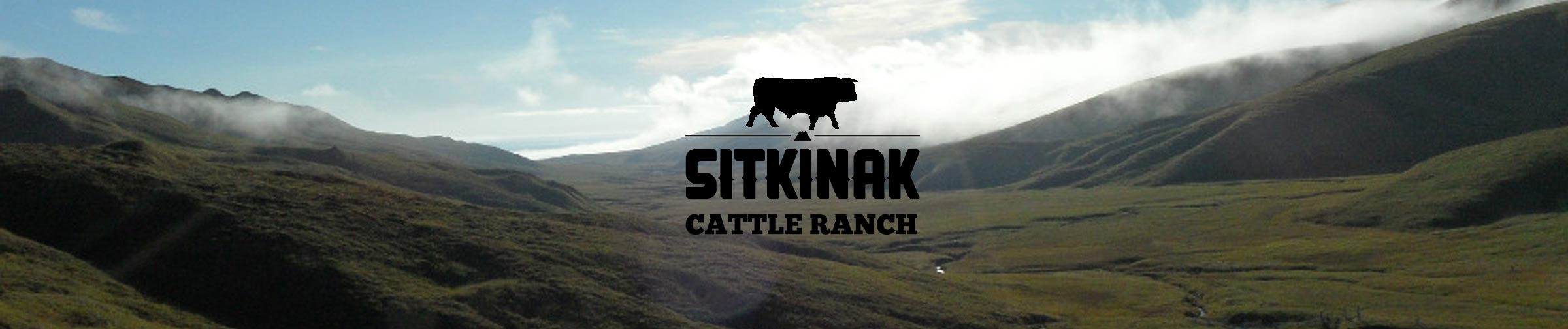 alaska meat company