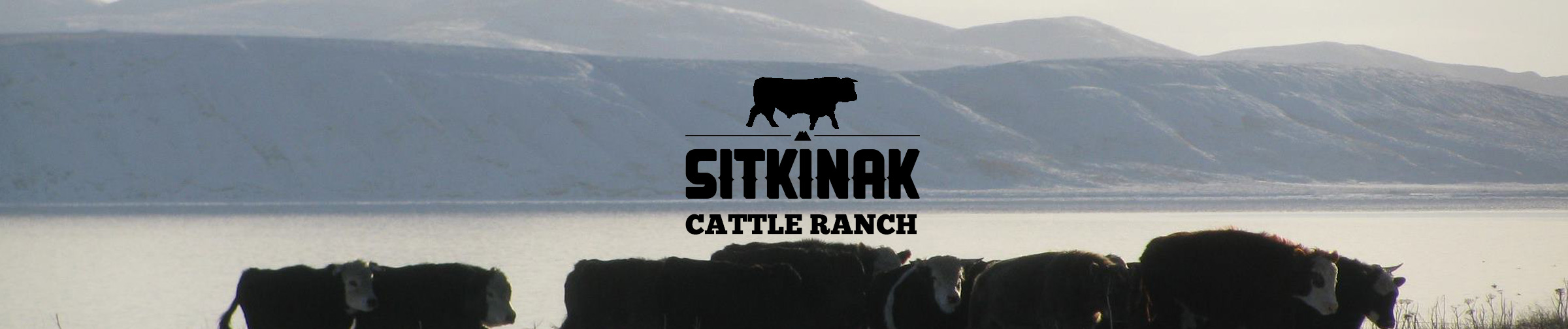 alaska meat company